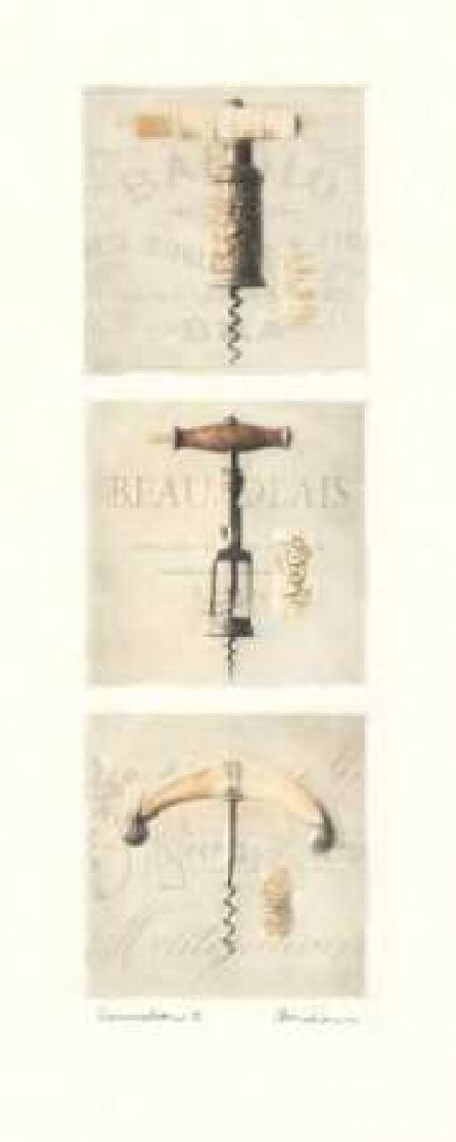 Sommelier II Poster Print by Amy Melious - Item # VARPDXMEL322